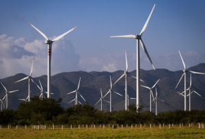 Wind farm Oaxaca