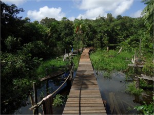 RMDLT photo boardwalk